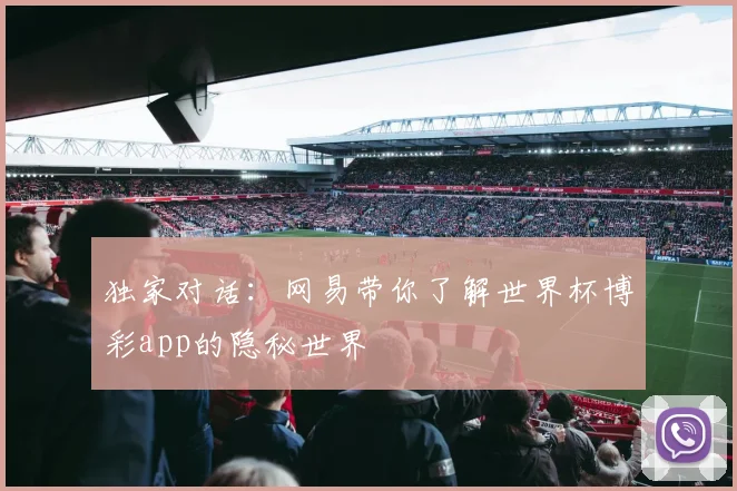 独家对话：网易带你了解世界杯博彩app的隐秘世界