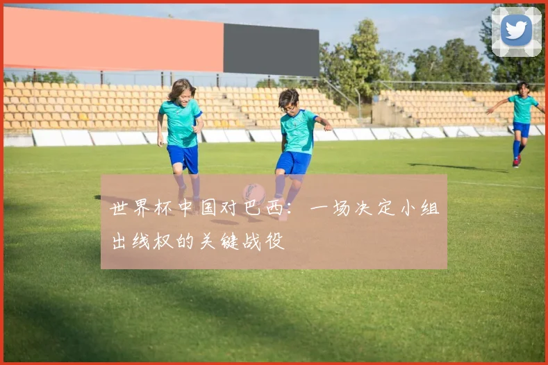 世界杯中国对巴西：一场决定小组出线权的关键战役
