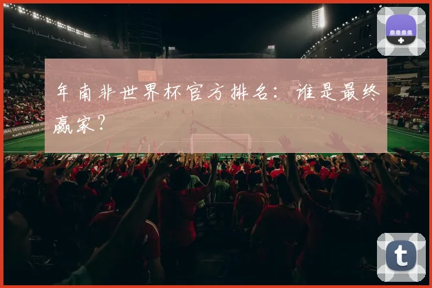 年南非世界杯官方排名：谁是最终赢家？