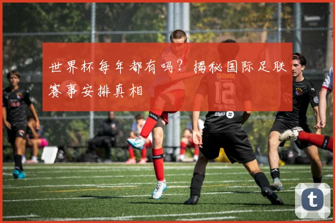 世界杯每年都有吗？揭秘国际足联赛事安排真相