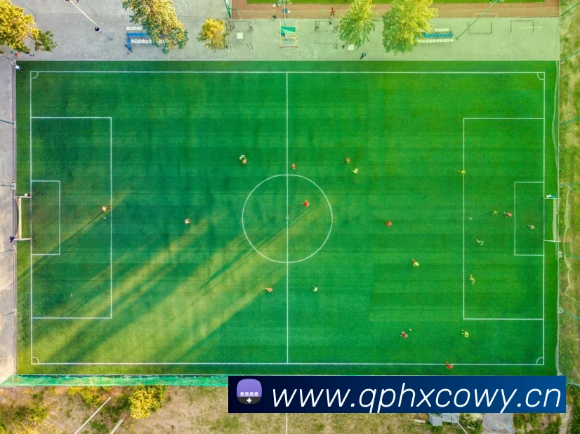 九游j9官方APP 高清赛事图